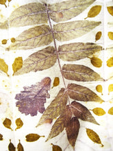 Load image into Gallery viewer, 100% Merino Wool Ecoprint Scarf, Natural Dye